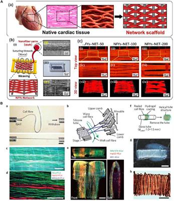 Tissue Engineering and Regenerative Medicine: Achievements, Future, and Sustainability in Asia